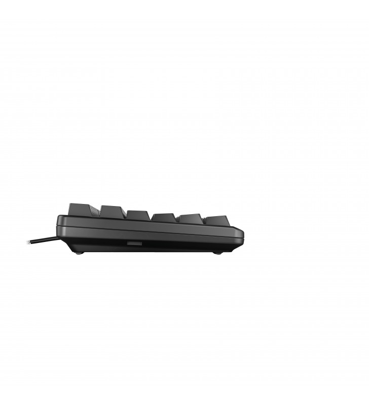 CHERRY G80-3000N RGB TKL tastaturi USB QWERTY Engleză SUA Negru