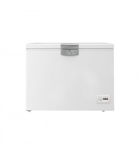 Beko HS22340 frigider comercial/congelator De sine stătător D