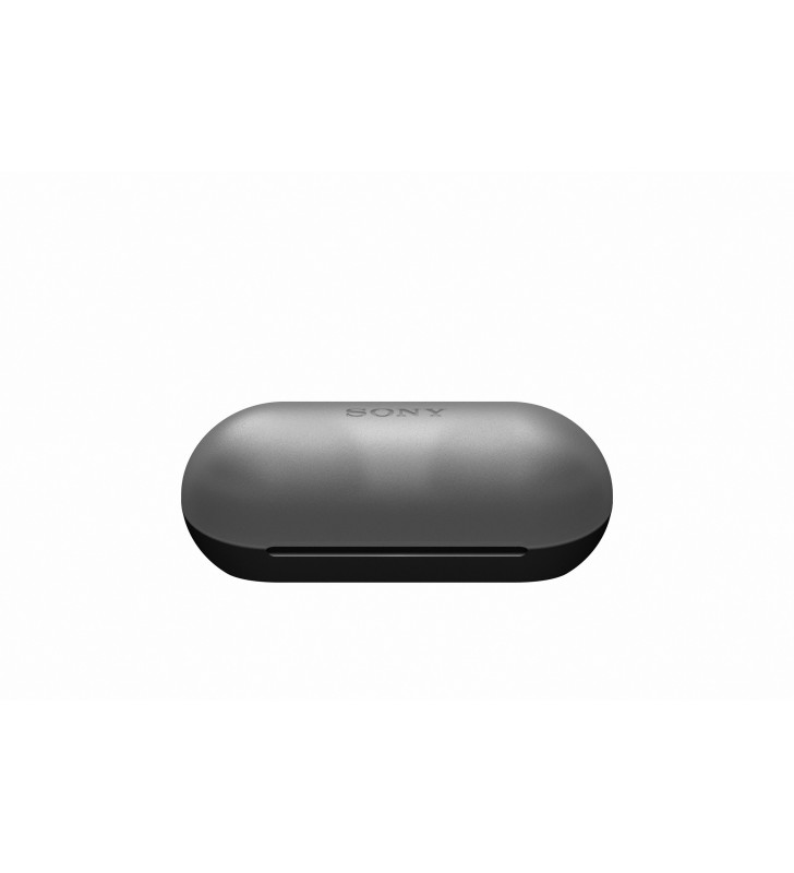 Sony WF-C500 Căști True Wireless Stereo (TWS) În ureche Calls/Music Bluetooth Negru