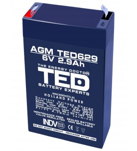 Acumulator stationar 6V 2,9Ah F1 AGM VRLA TED Electric TED629