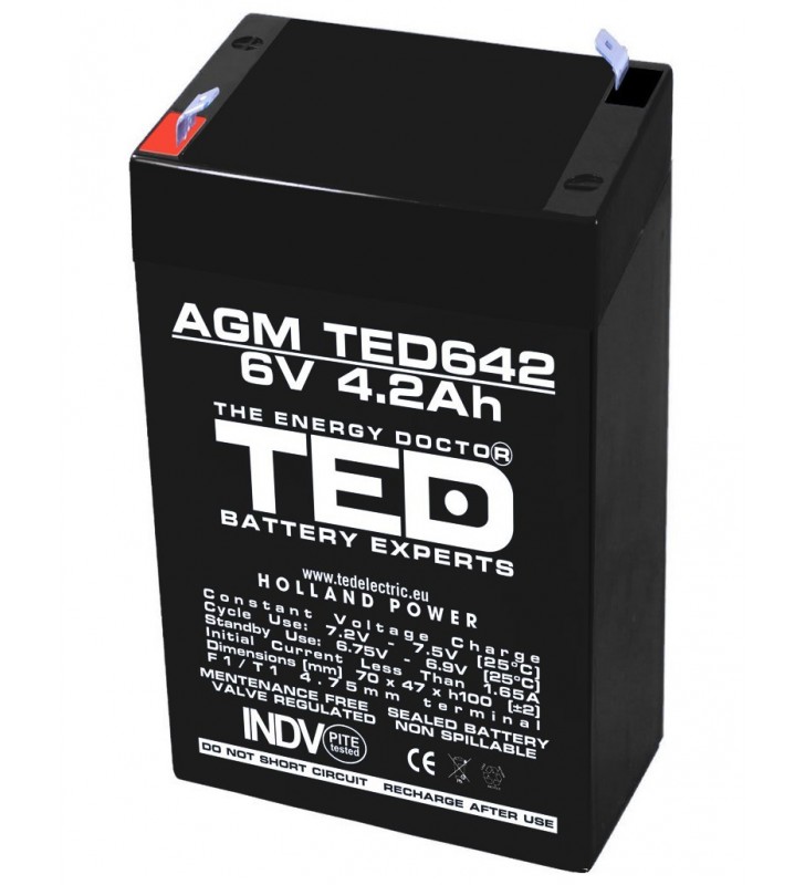 Acumulator stationar 6V 4,2Ah F1 AGM VRLA TED Electric TED642