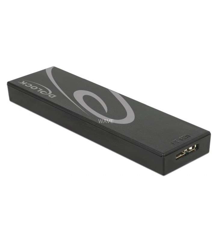 DeLOCK  M.2 SSD 42/60/80 - SuperSpeed ​​​​​​USB 10 Gbps (USB 3.1 Gen 2) tip soclu Micro-B, carcasă unității