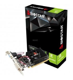Placa grafica Biostar  GeForce 210