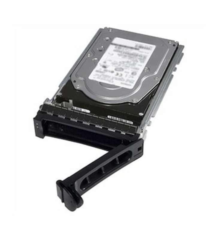 DELL 400-BJEG hard disk-uri interne 3.5" 4000 Giga Bites ATA III Serial