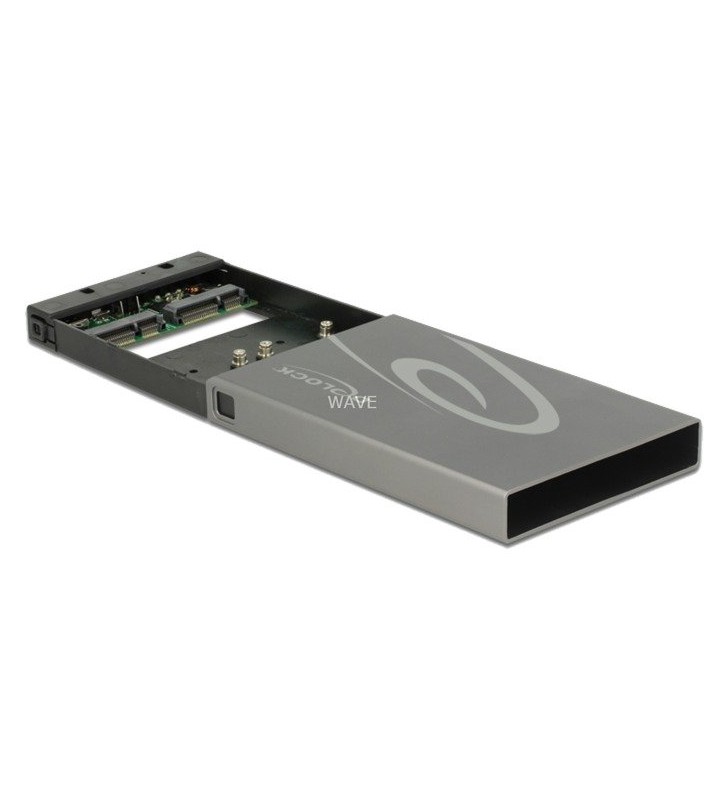 DeLOCK  2x SSD mSATA - Soclu USB 3.1 Gen2 USB Type-C, carcasă unității (gri, cu RAID)