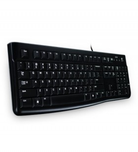Logitech K120 tastaturi USB QWERTY Rus Negru