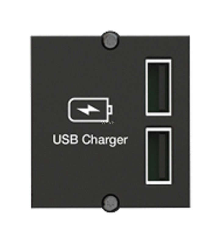 Modul personalizat Bachmann  Incarcator dublu USB, incarcator ((917.224))