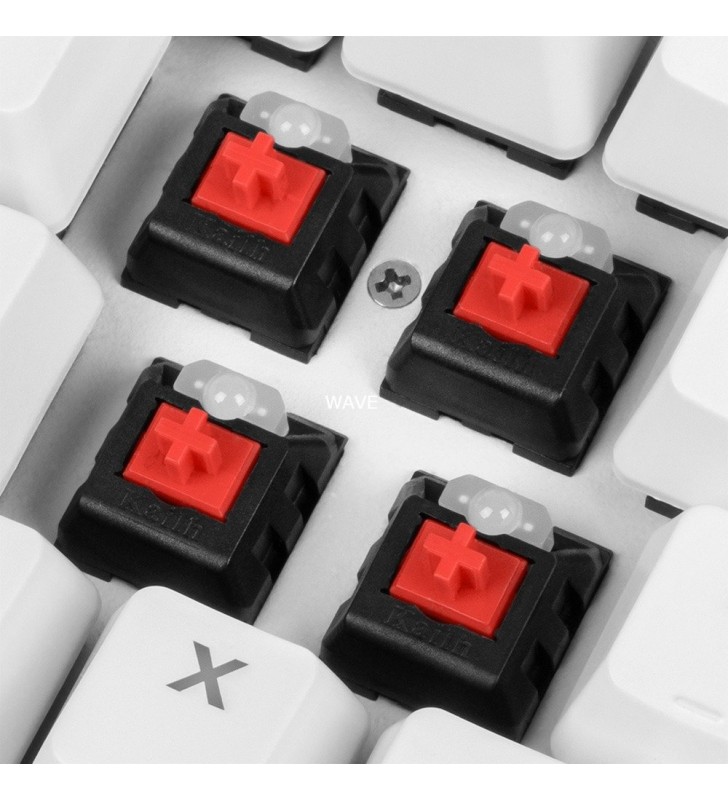 Sharkoon  SKILLER SGK3 White, tastatură pentru jocuri (alb, aspect DE, Kailh Red)