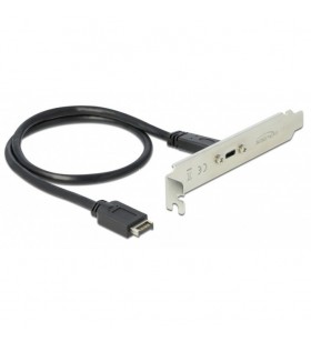 Suport pentru slot DeLOCK  cu 1 port USB Type-C, adaptor (negru, 50 cm)