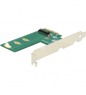 DeLOCK  PCIe x4 - 1 x M.2 Key M NVMe, controler