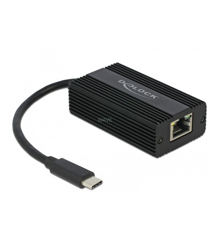 Adaptor DeLOCK  USB-C tată - 2,5 Gigabit LAN RJ-45 (negru)
