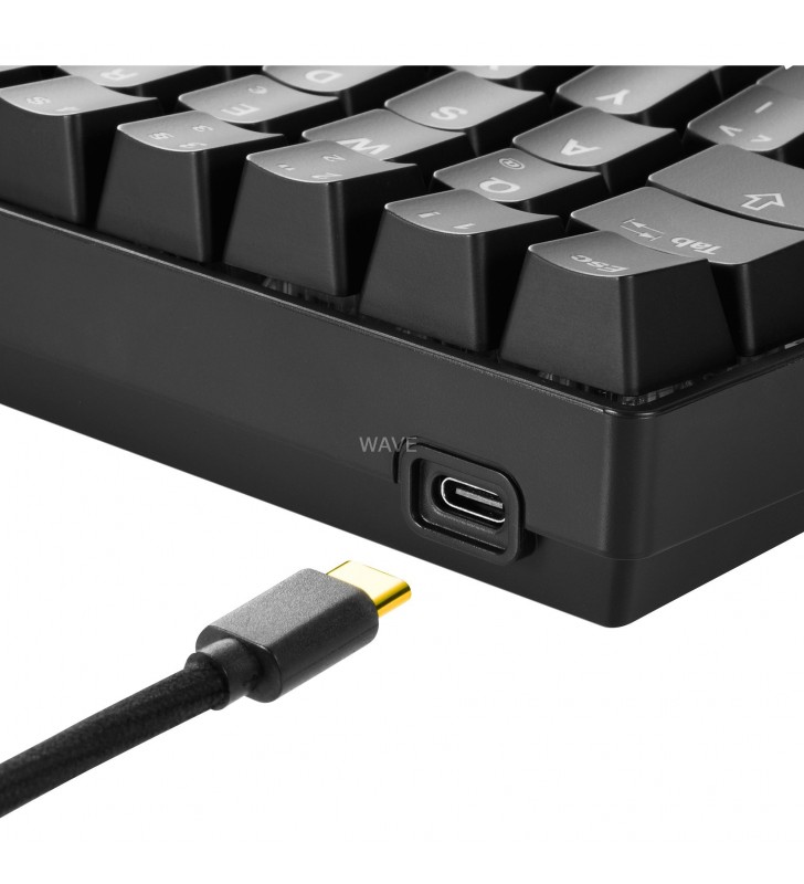 Tastatură pentru jocuri Sharkoon  SKILLER SGK50 S4 (negru, aspect DE, Kailh Red)