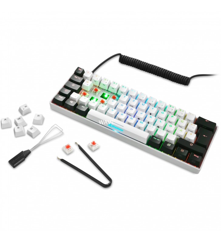 Tastatură pentru jocuri Sharkoon  SKILLER SGK50 S4 (alb/negru, aspect DE, Kailh Red)