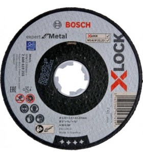 Bosch 2 608 619 255 accesoriu pentru polizoare unghiulare Disc tăiere
