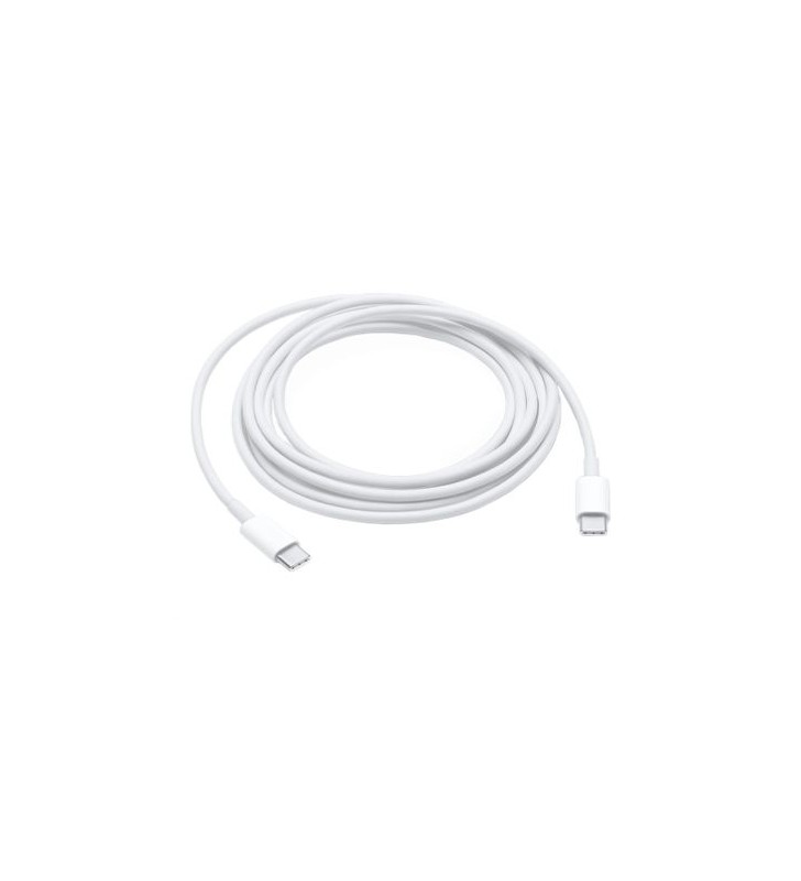 USB-C CHARGE CABLE (2M)/.
