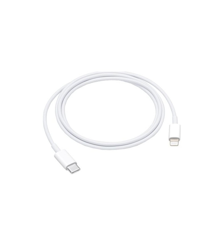 USB-C TO LIGHTNING CABLE (1M)/.