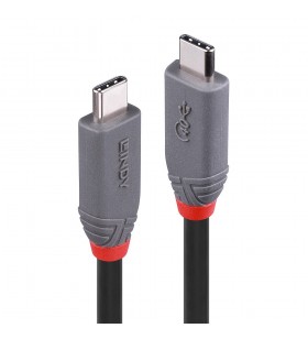 Lindy 36947 cabluri USB 0,8 m USB4 Gen 3x2 USB C Negru