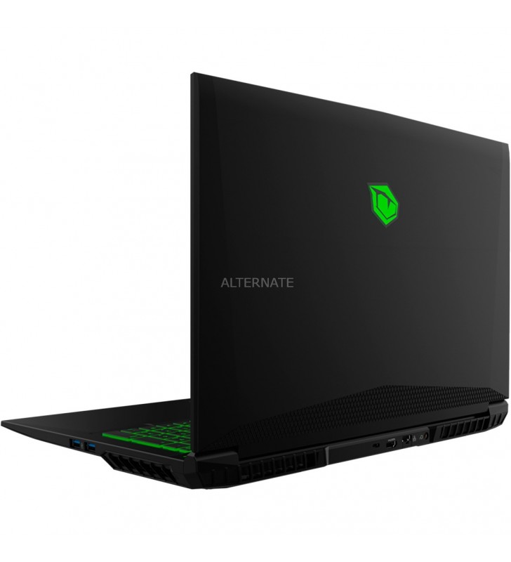 Tulpar  T7 V20.5.8, gaming notebook (black, without operating system, 144 Hz display, 500 GB SSD)