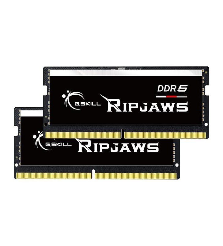 G.SKILL Ripjaws Series 32GB (2 x 16GB) 262-Pin DDR5 SO-DIMM DDR5 4800 (PC4 38400) Laptop Memory Model F5-4800S3434A16GX2-RS
