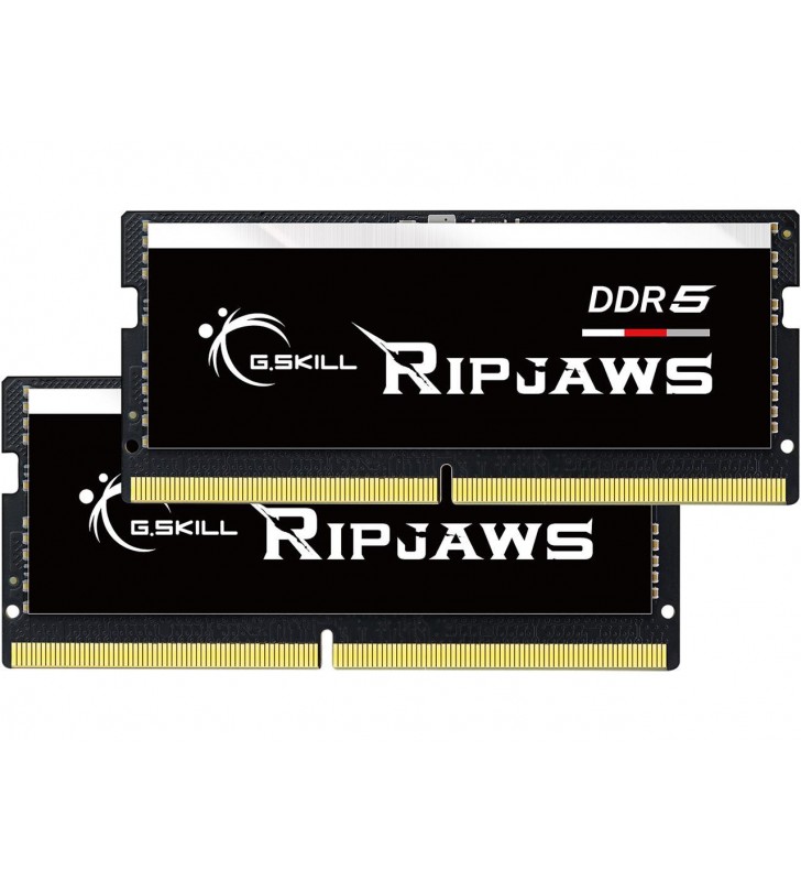 G.SKILL Ripjaws Series 32GB (2 x 16GB) 262-Pin DDR5 SO-DIMM DDR5 4800 (PC4 38400) Laptop Memory Model F5-4800S4039A16GX2-RS