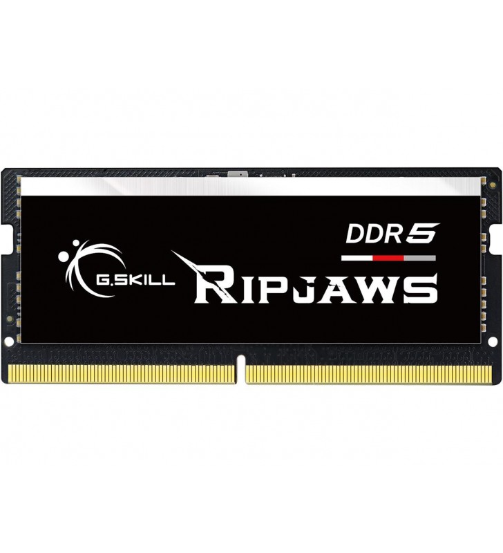 G.SKILL Ripjaws Series 32GB 262-Pin DDR5 SO-DIMM DDR5 4800 (PC4 38400) Laptop Memory Model F5-4800S4039A32GX1-RS