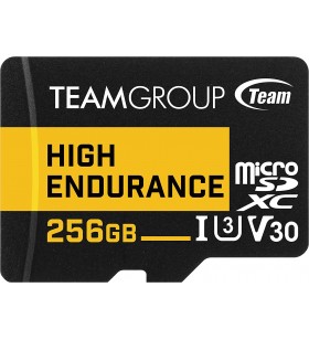 TEAMGROUP High Endurance 256GB Micro SDXC UHS-I U3 V30 4K 100MB/s (Designed for Monitoring), Durable Stable Flash Memory Card for Security Camera, 4K Full HD Video Recording THUSDX256GIV3002