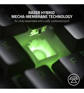 Razer Ornata V2 - gaming keyboard with mecha-membrane hybrid switches (multifunctional knob and media keys, fully programmable, RGB Chroma) QWERTZ | DE layout, black