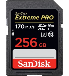 Card SanDisk Extreme PRO SDXC UHS-I de 256 GB - C10, U3, V30, 4K UHD, card SD - SDSDXXY-256G-GN4IN