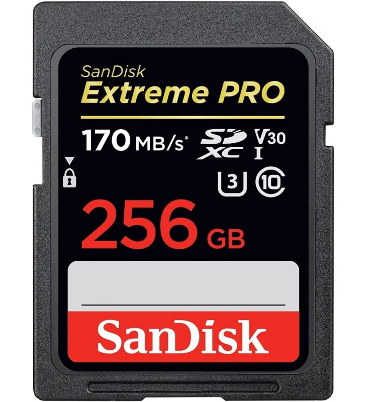 Card SanDisk Extreme PRO SDXC UHS-I de 256 GB - C10, U3, V30, 4K UHD, card SD - SDSDXXY-256G-GN4IN