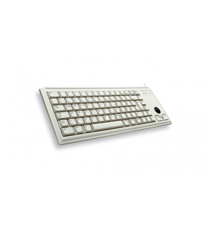 CHERRY G84-4420 tastaturi USB US International Gri