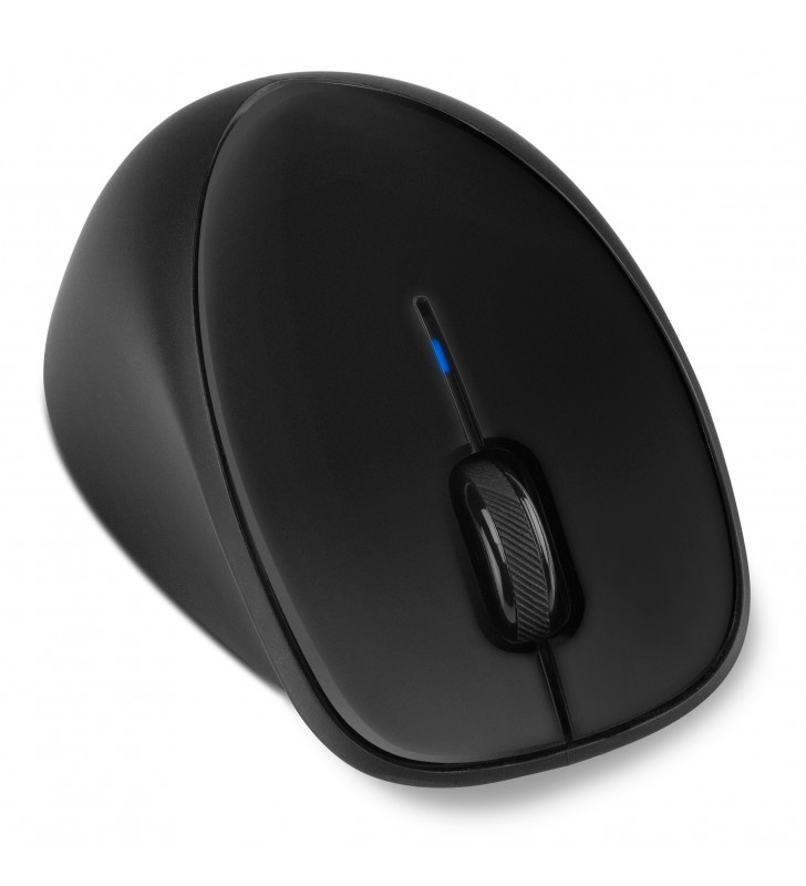 HP Comfort Grip mouse-uri RF fără fir Optice Ambidextru
