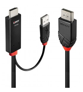Lindy 41499 adaptor pentru cabluri video 2 m HDMI + USB Type-A DisplayPort Negru