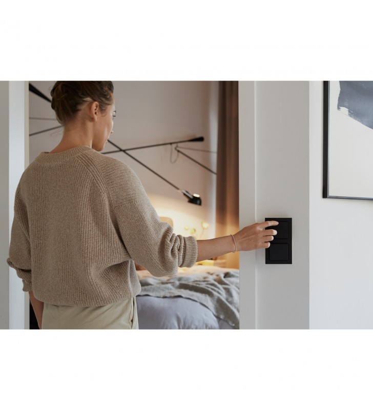 Senic Friends of Hue Smart Switch (antracit)