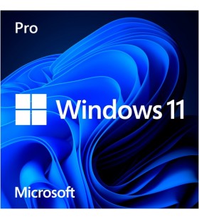 Microsoft Windows 11 Pro, operating system software (64-bit, German, USB stick)