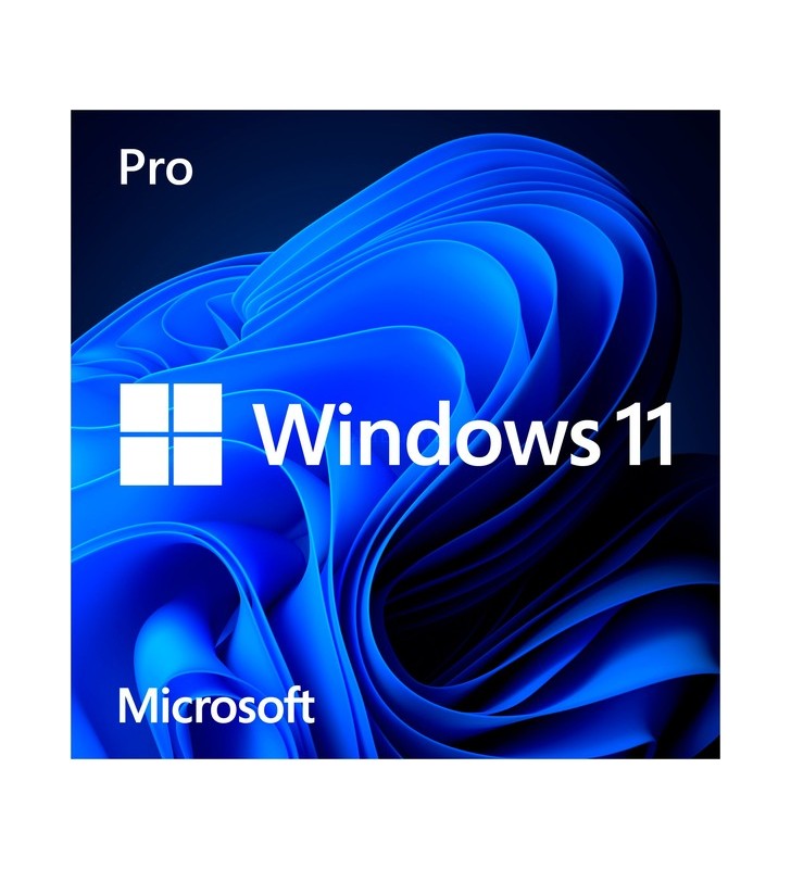 Microsoft Windows 11 Pro, operating system software (64-bit, German, USB stick)