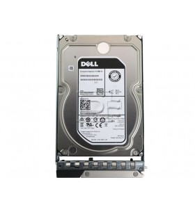DELL 400-BJKQ hard disk-uri interne 3.5" 16000 Giga Bites SAS