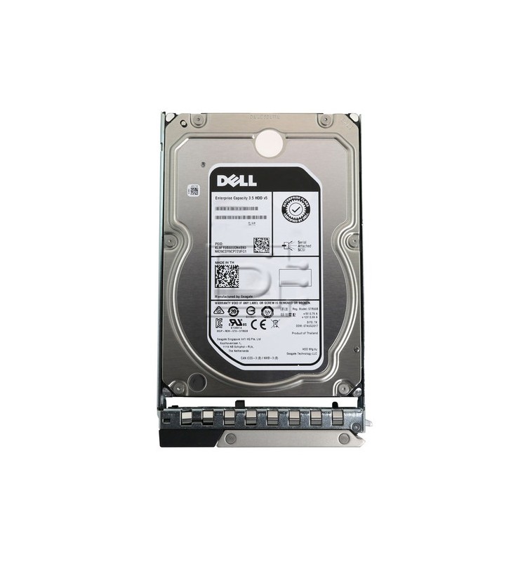 DELL 400-BJKQ hard disk-uri interne 3.5" 16000 Giga Bites SAS