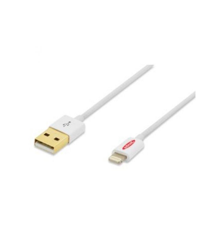 Ednet 31021, Apple, iP5 Cable, Apple 8pin - USB A, 1m