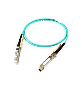 Cisco 25GBASE-AOC SFP28 Active Optical Cable, 10-meter