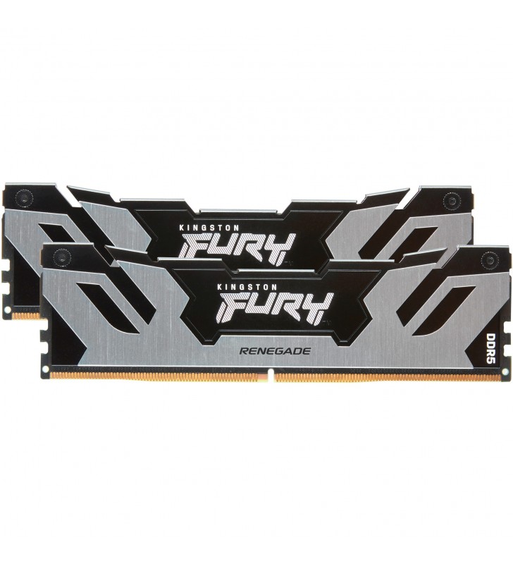 Kit de memorie Kingston FURY DIMM 64GB DDR5-6000 (negru/argintiu, KF560C32RSK2-64, Fury Renegade Silver, XMP)