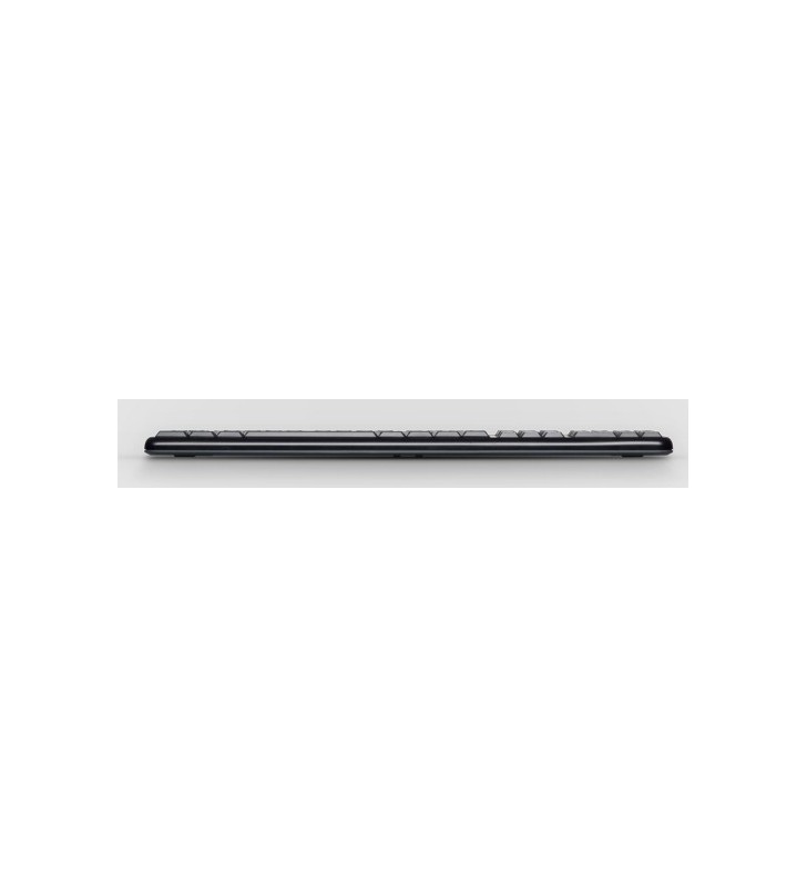 Logitech Desktop MK120 tastaturi USB QWERTY EER Internațional (Regiunea Est Europeană) Negru