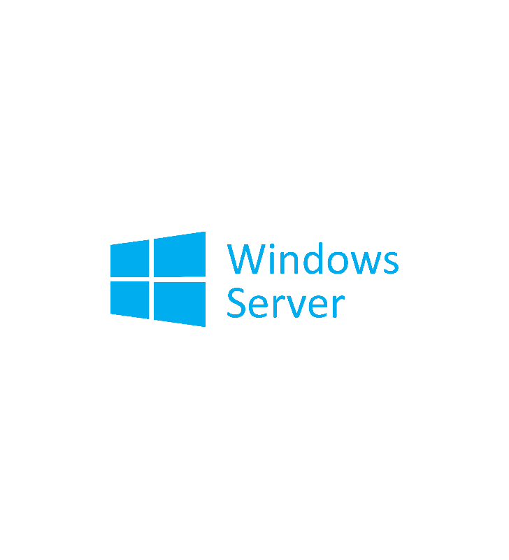 DELL Windows Server 2019 Essentials