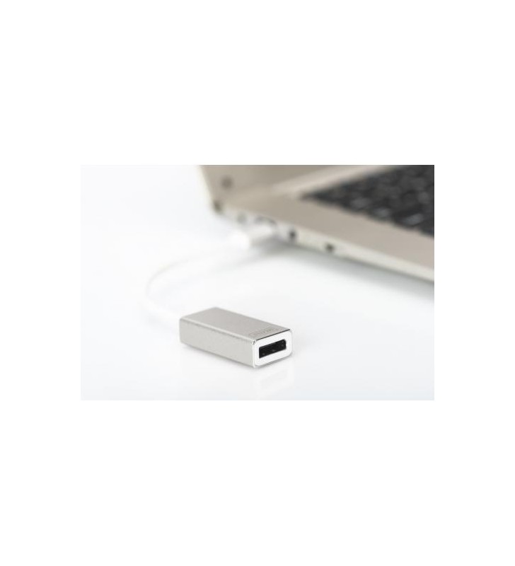 USB3.0TYPEC4K DP GRAPHICADAPTER/ALU.HOUSING20CM CABLECHIPVL100