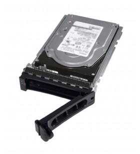 DELL 400-BJRZ hard disk-uri interne 3.5" 1000 Giga Bites ATA III Serial