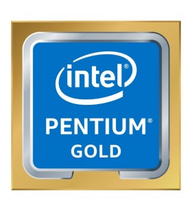 Intel Pentium Gold G6500 procesoare 4,1 GHz Casetă 4 Mega bites Cache inteligent