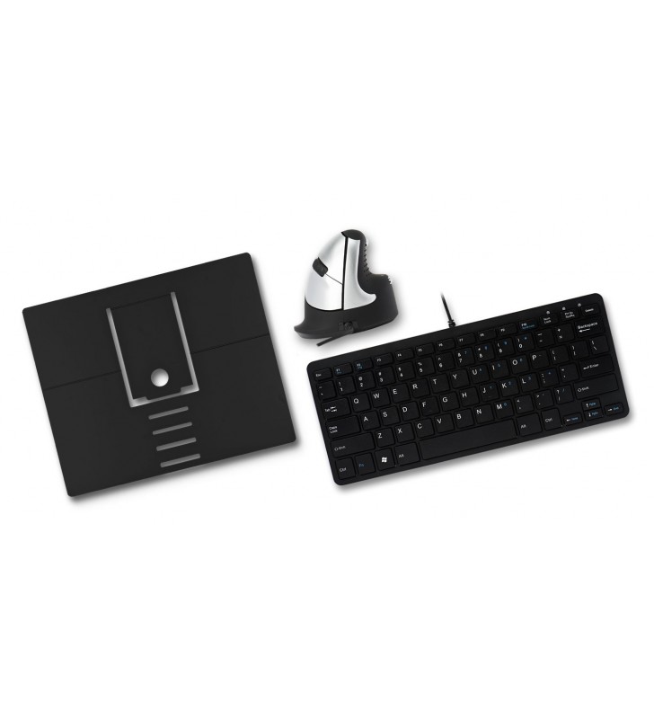 R-Go Tools RGOSETBA-DE tastaturi USB QWERTZ Germană Negru