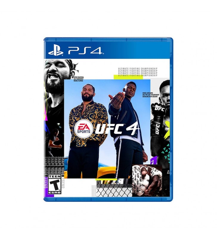 Sony UFC 4