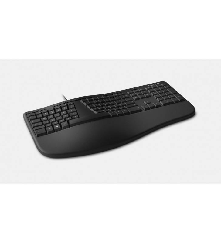 Microsoft LXM-00013 tastaturi USB QWERTY Englez Negru