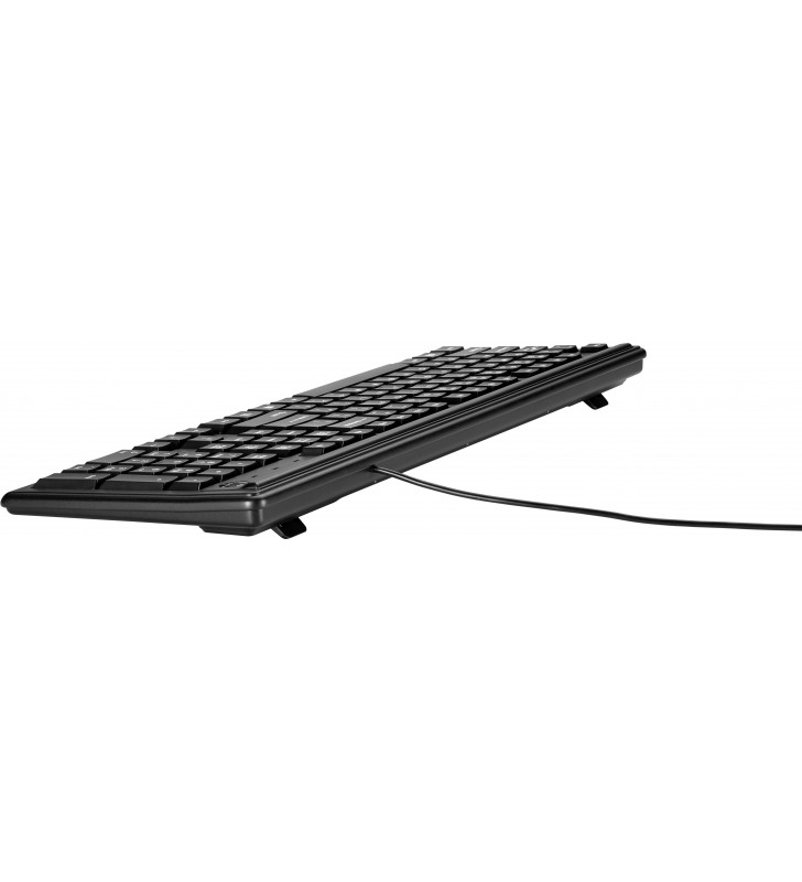 HP 100 tastaturi USB Negru