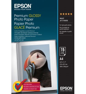 Epson Premium Glossy Photo Paper - A4 - 15 de coli